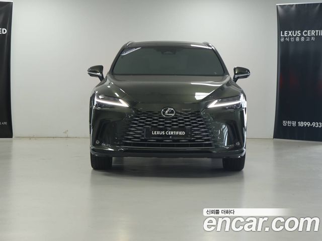Lexus RX350h (V) Luxury 2025 — фото 3