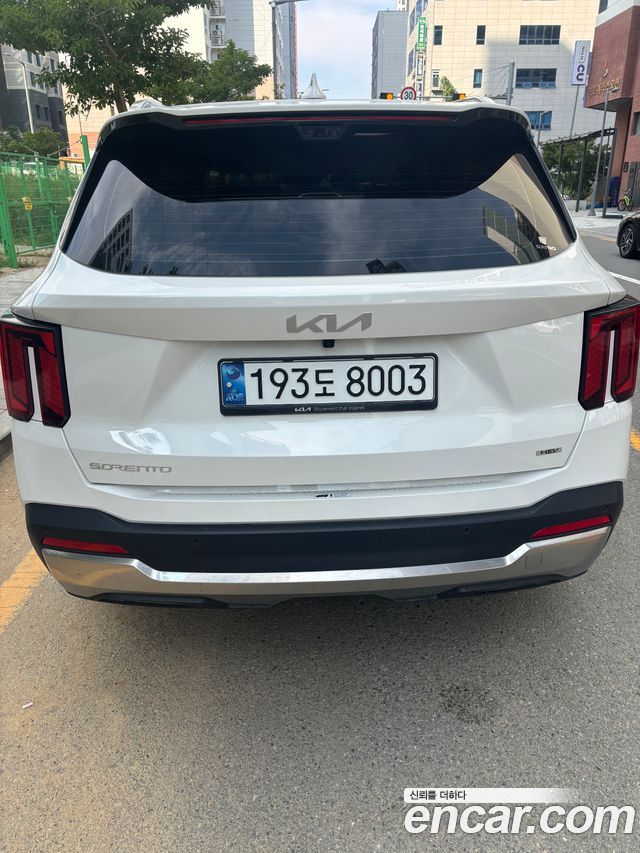 Kia Sorento (IV) HEV 1.6 2WD Signature 2025 — фото 4