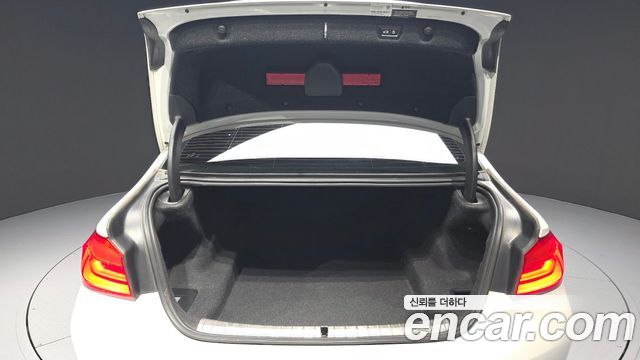 BMW 5 Series (G30) 520i Luxury 2019 — фото 20