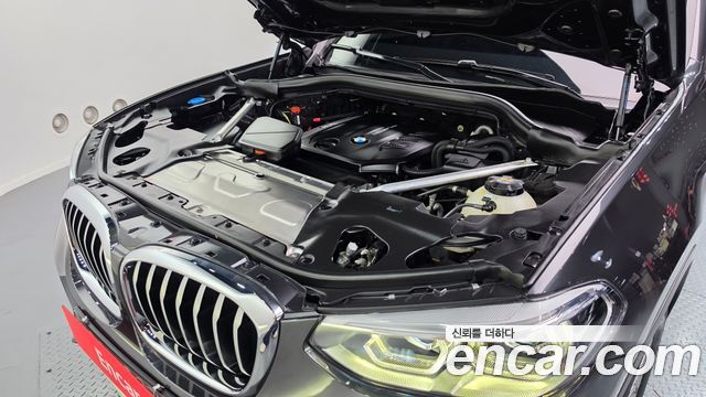 BMW X4 (G02) xDrive20d xLine 2020 — фото 6