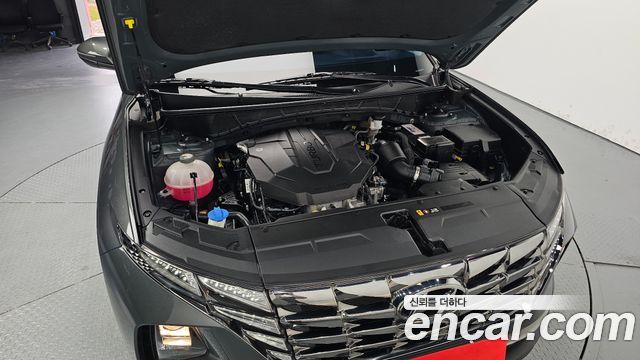 Hyundai Tucson (NX4) Diesel 2.0 2WD Modern 2023 — фото 6
