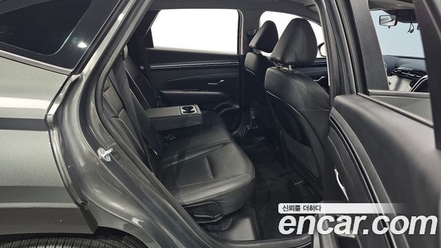 Hyundai Tucson (NX4) Diesel 2.0 2WD Modern 2023 — фото 15