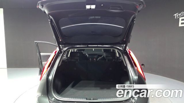 Kia Niro EV Earth 2024 — фото 18