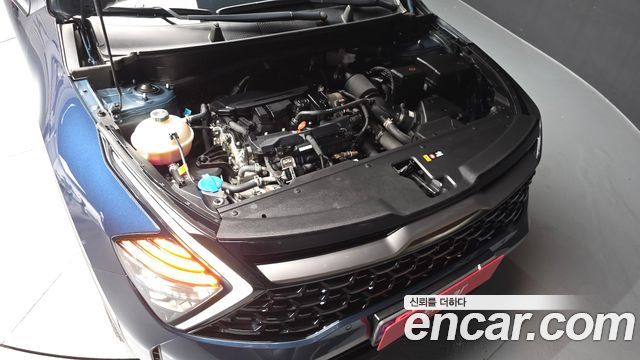 Kia Sportage (V) Gasoline 1.6 Turbo 2WD Signature Gravity 2023 — фото 6
