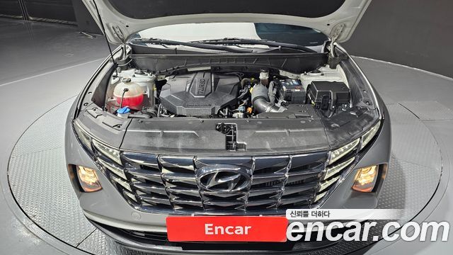 Hyundai Tucson (NX4) Diesel 2.0 2WD Modern 2023 — фото 6