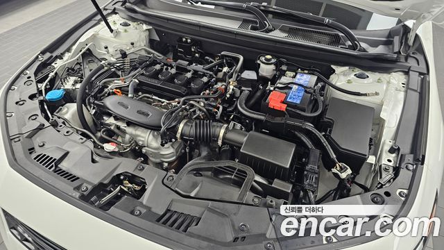 Honda Accord (XI) 1.5 Turbo 2024 — фото 6