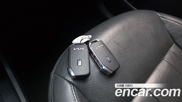 Kia Niro EV Noblesse 2022 — фото 39
