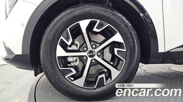 Kia Sportage Hybrid (V) Signature 2WD 2024 — фото 5