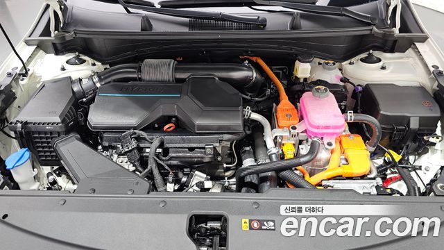 Kia Sportage Hybrid (V) Signature 2WD 2024 — фото 6