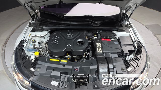 Renault Korea SM6 2.0 GDe LE 2016 — фото 6