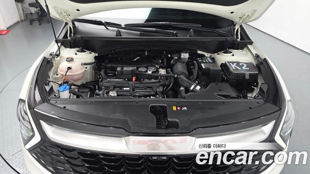 Kia Sportage (V) Gasoline 1.6 Turbo 2WD Signature 2022 — фото 6