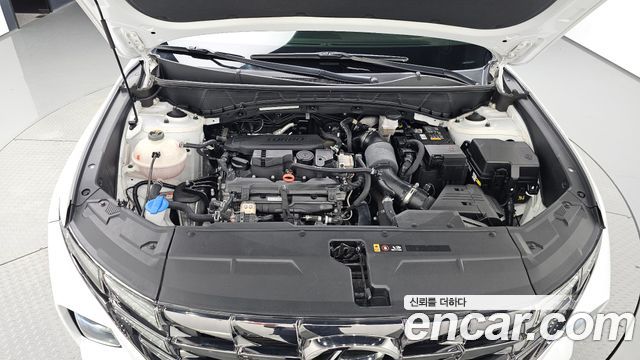 Hyundai Tucson (NX4) Gasoline 1.6 Turbo 2WD Premium 2023 — фото 6