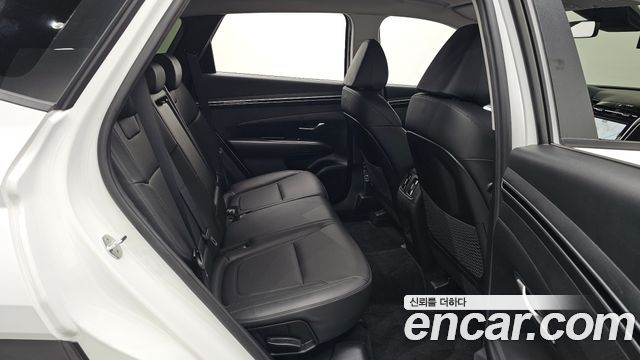Hyundai Tucson (NX4) Gasoline 1.6 Turbo 2WD Premium 2023 — фото 12