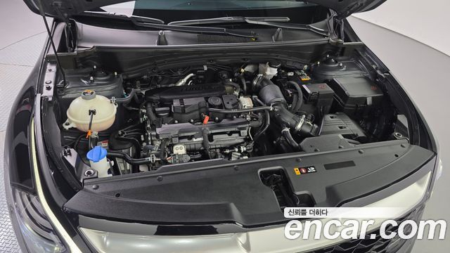 Kia Sportage (V) Gasoline 1.6 Turbo 2WD Signature 2024 — фото 6