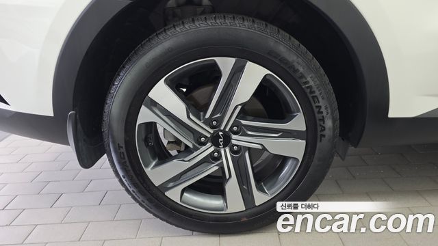 Kia Sorento (IV) HEV 1.6 2WD Noblesse 2023 — фото 5