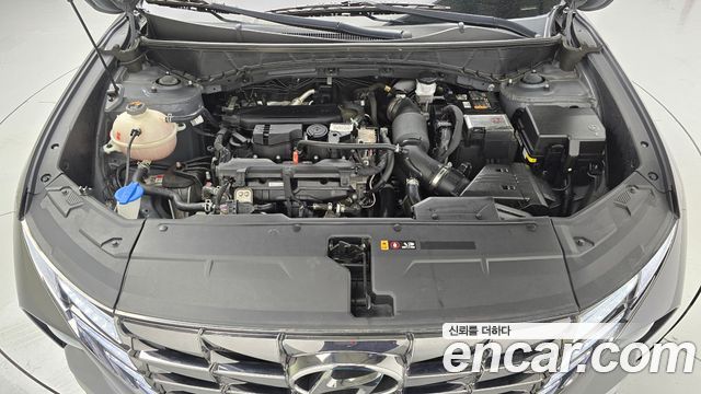 Hyundai Tucson (NX4) Gasoline 1.6 Turbo 2WD Modern 2023 — фото 6