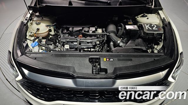 Kia Sportage (V) Gasoline 1.6 Turbo 2WD Signature 2023 — фото 6