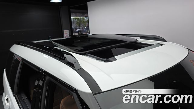 Hyundai Santa Fe (MX5) HEV 1.6 2WD Calligraphy 2024 — фото 20