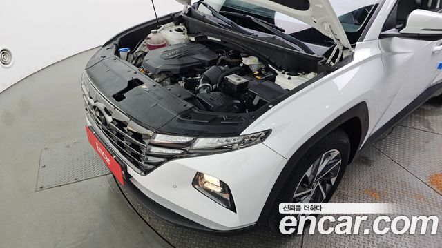 Hyundai Tucson (NX4) Diesel 2.0 2WD Premium 2021 — фото 6