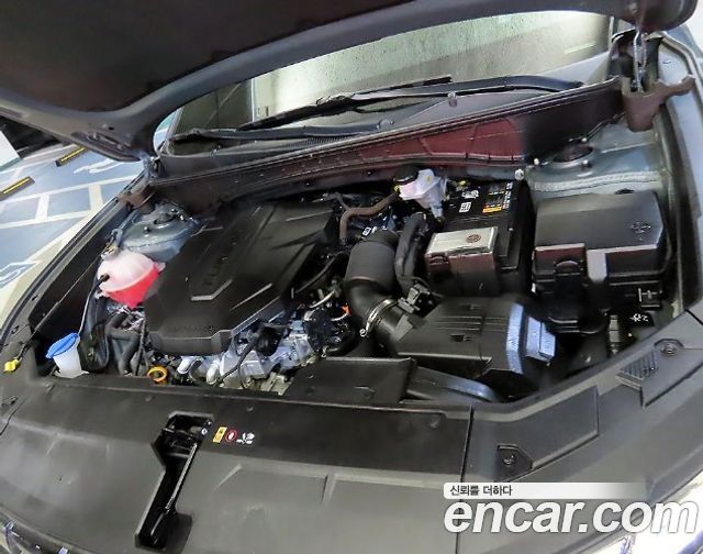 Hyundai Tucson (NX4) Diesel 2.0 2WD Adventure 2023 — фото 7