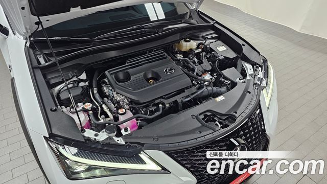 Lexus UX300h 2.0 F-Sport 2WD 2026 — фото 6