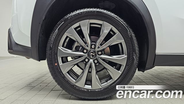 Lexus UX300h 2.0 F-Sport 2WD 2026 — фото 21