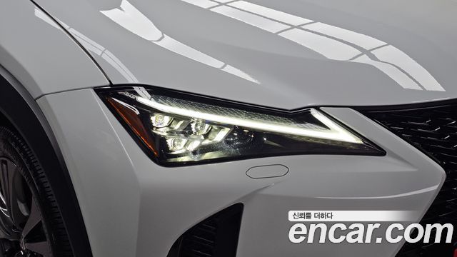 Lexus UX300h 2.0 F-Sport 2WD 2026 — фото 22