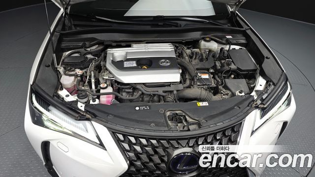 Lexus UX250h 2.0 2WD 2020 — фото 6