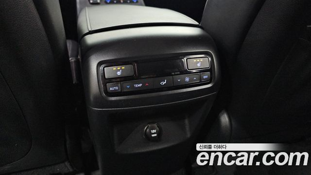 Hyundai Palisade Diesel 2.2 2WD Exclusive 2019 — фото 18