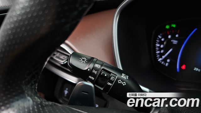 Hyundai Santa Fe (TM) Diesel 2.2 2WD Inspiraition 2020 — фото 30