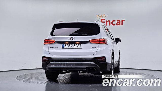 Hyundai Santa Fe (TM) Diesel 2.0 2WD Exclusive 2019 — фото 4