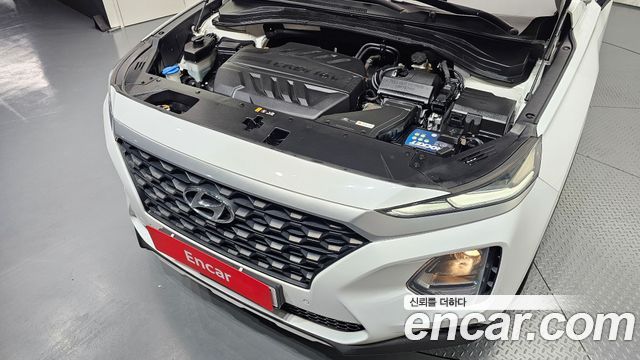 Hyundai Santa Fe (TM) Diesel 2.0 2WD Exclusive 2019 — фото 6