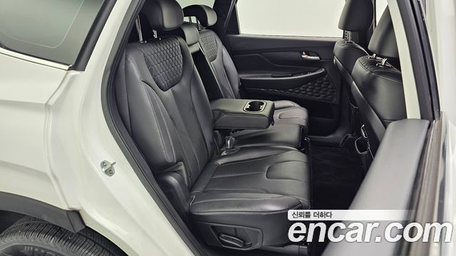 Hyundai Santa Fe (TM) Diesel 2.0 2WD Exclusive 2019 — фото 11