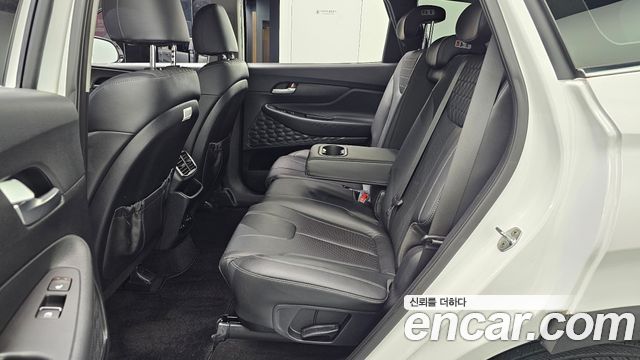 Hyundai Santa Fe (TM) Diesel 2.0 2WD Exclusive 2019 — фото 12