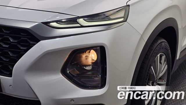Hyundai Santa Fe (TM) Diesel 2.0 2WD Exclusive 2019 — фото 22