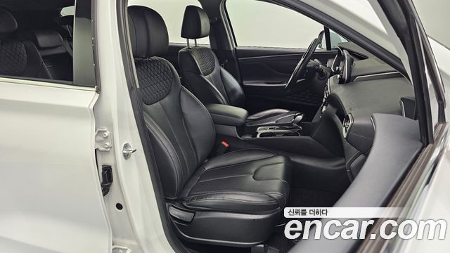 Hyundai Santa Fe (TM) Diesel 2.0 2WD Exclusive 2019 — фото 26