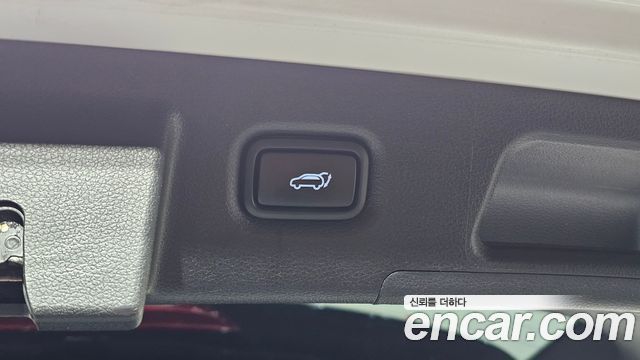 Hyundai Santa Fe (TM) Diesel 2.0 2WD Exclusive 2019 — фото 29