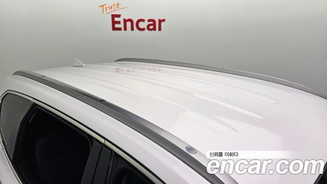 Hyundai Santa Fe (TM) Diesel 2.0 2WD Exclusive 2019 — фото 31