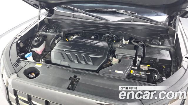 Hyundai Palisade Diesel 2.2 4WD Exclusive 2023 — фото 5