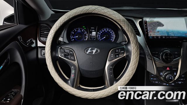 Hyundai Grandeur (HG) LPG HG300 Handicapped Only 2013 — фото 13