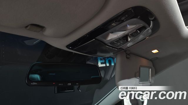 Hyundai Grandeur (HG) LPG HG300 Handicapped Only 2013 — фото 18