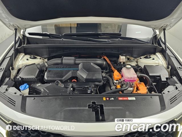 Kia Sorento (IV) HEV 1.6 2WD Noblesse 2022 — фото 6