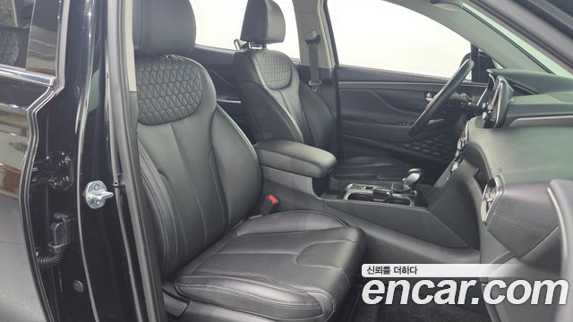 Hyundai Santa Fe (TM) Diesel 2.0 2WD Exclusive 2019 — фото 18