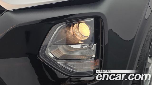 Hyundai Santa Fe (TM) Diesel 2.0 2WD Exclusive 2019 — фото 22
