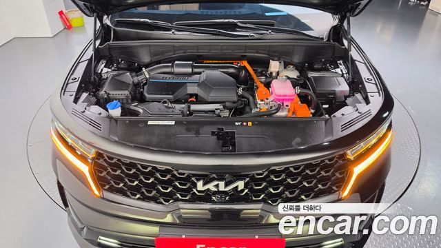 Kia Sorento (IV) HEV 1.6 2WD Gravity 2022 — фото 6