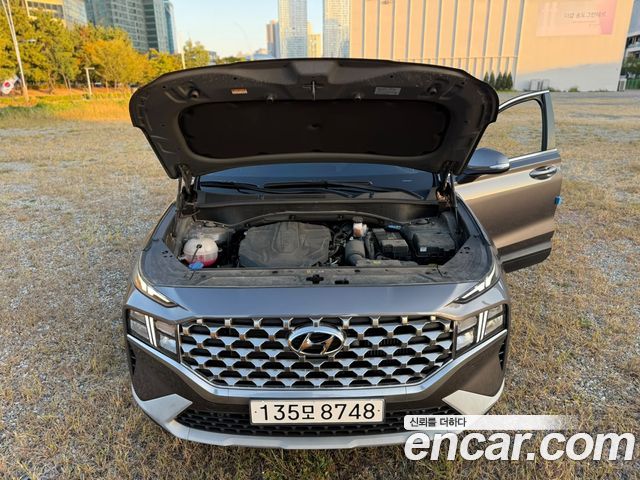 Hyundai Santa Fe Diesel 2.2 2WD Exclusive 2022 — фото 21