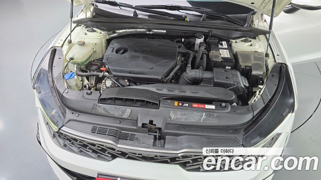 Kia K5 (III) 2.0 LPI(Renter car) Trandy 2020 — фото 6