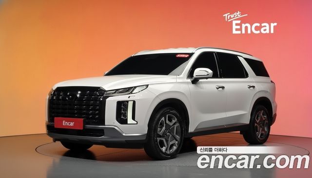 Hyundai Palisade Diesel 2.2 2WD Le Blanc