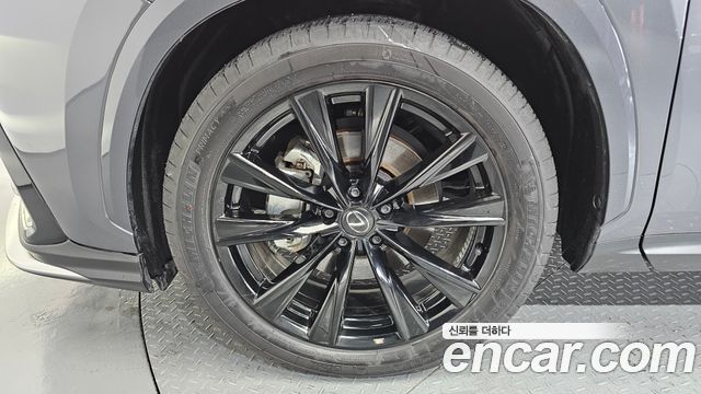 Lexus NX450h+ (II) F-Sport 2025 — фото 5