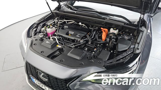 Lexus NX450h+ (II) F-Sport 2025 — фото 6